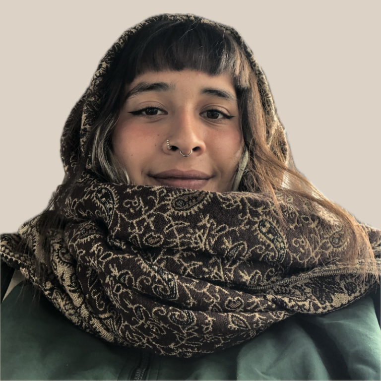 maría gallegos sitio web